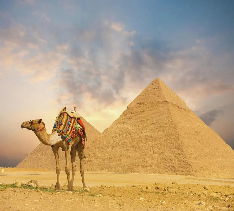 Day Trip to Cairo from Hurghada by Bus