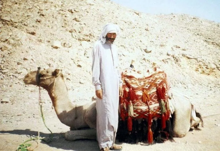 Camel Ride Camel Ride